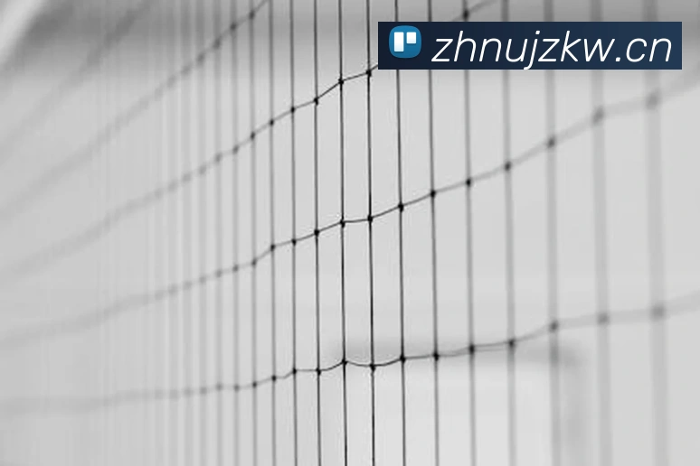 App Interface Preview